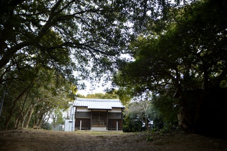 高井神島・関道神社
