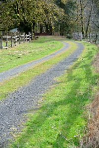 road kestner homestead historic quinault c bubar march 05 2015