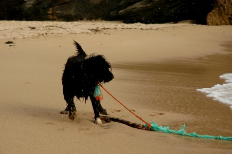 Life guard training photo