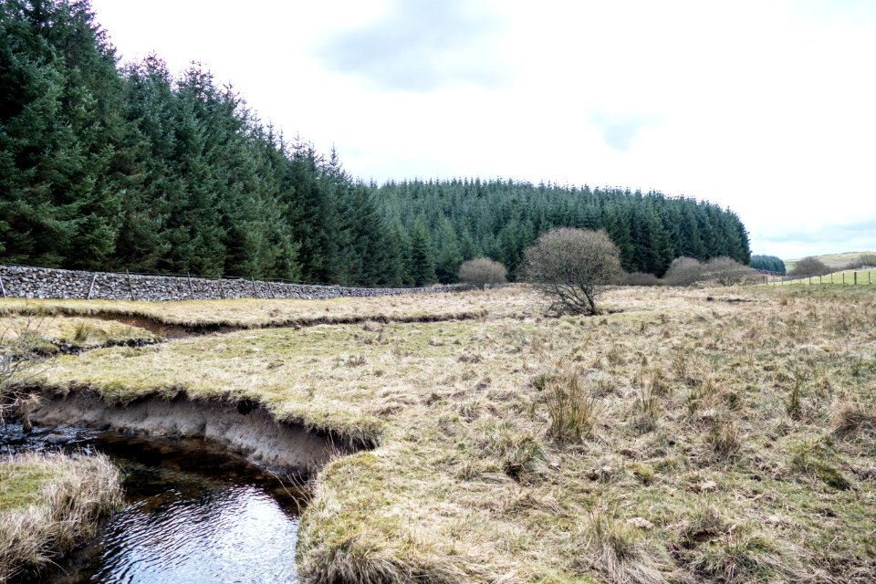 Earlston Burn at Barlaes