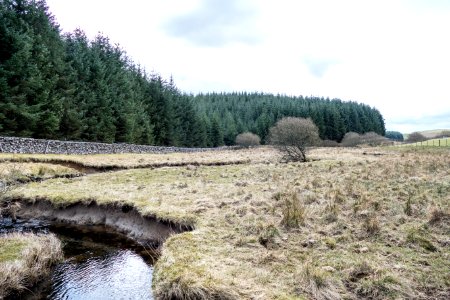Earlston Burn at Barlaes