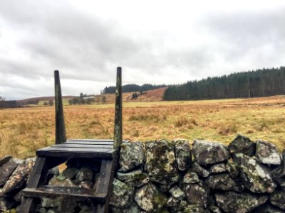 Stile at Holmshaw Farm photo