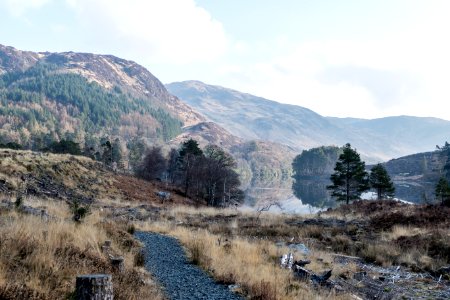 Looking east across Loch Trool