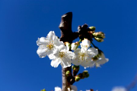 Spring is here