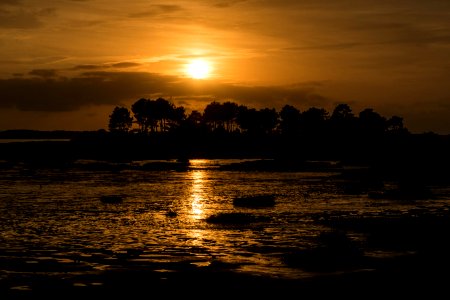 bassin d’Arcachon - Ares photo