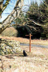 Sign outside Glenruther on Southern Upland Way
