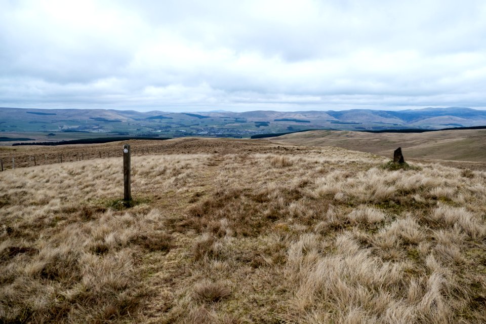 Start of descent of Whing towards Sanquhar