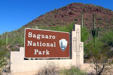 Saguaro National Park. NPS photo.