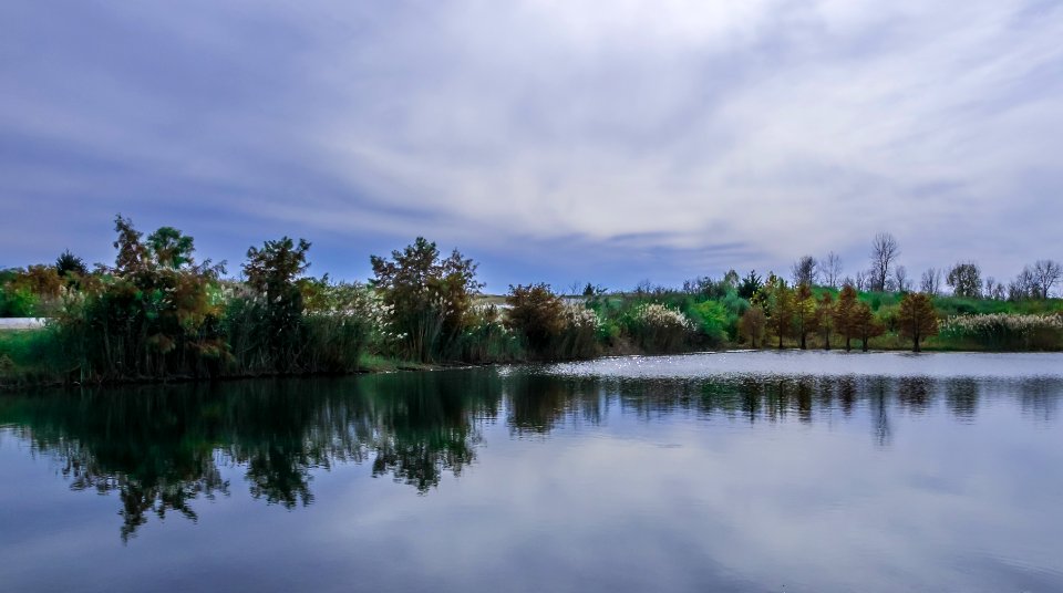 Pond Echos