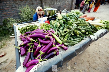 Nepal 2018 4934 photo