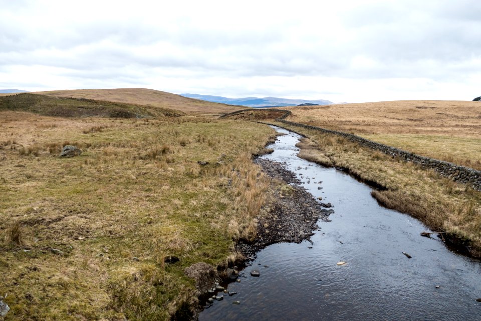 Black Water near Mackilston Hill