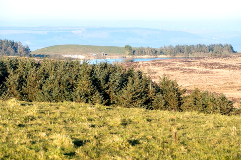 Knockquhassen Reservoir from Mulloch Hill