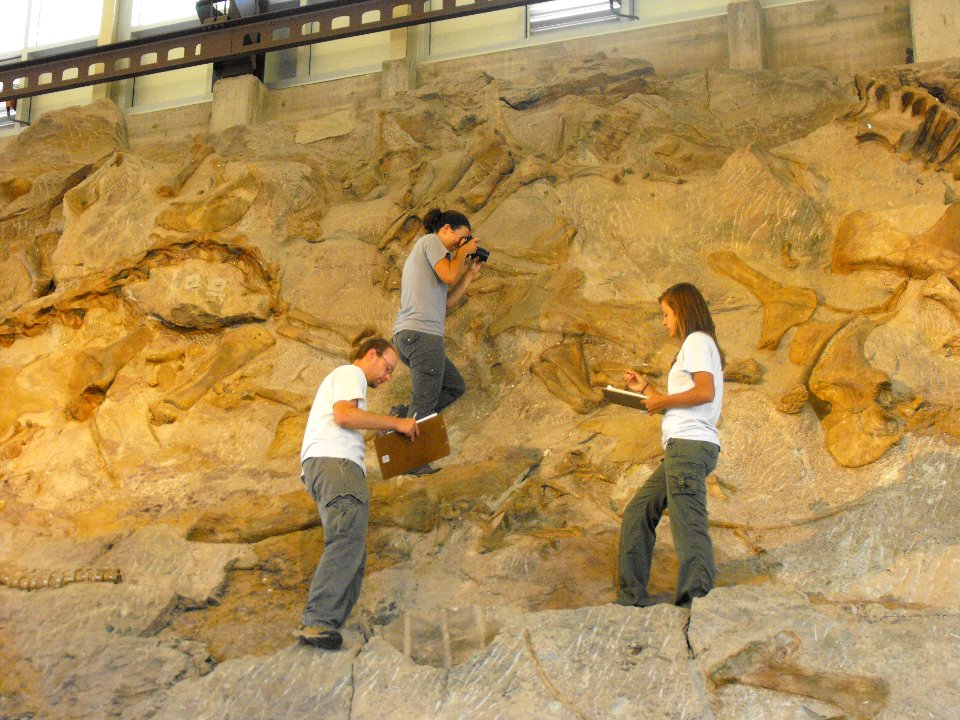 Documenting bone conditions