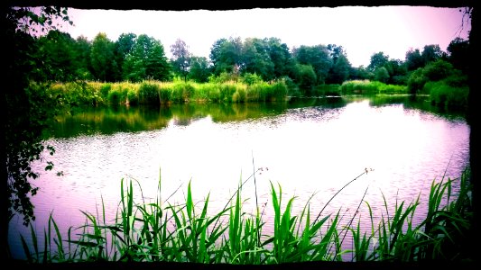 Naturschutzgebiet Märwil