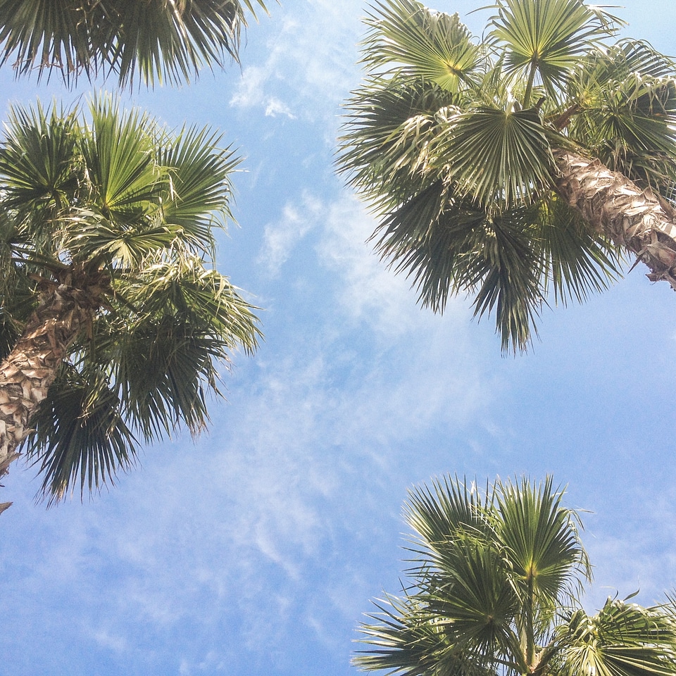Beach nature blue