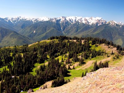 MHC6518 High Mountains from Hurricane Hill Olympic NP Washington