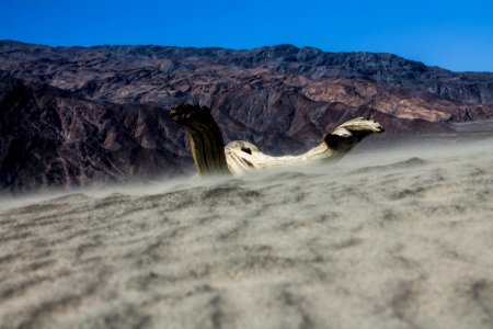 Death Valley