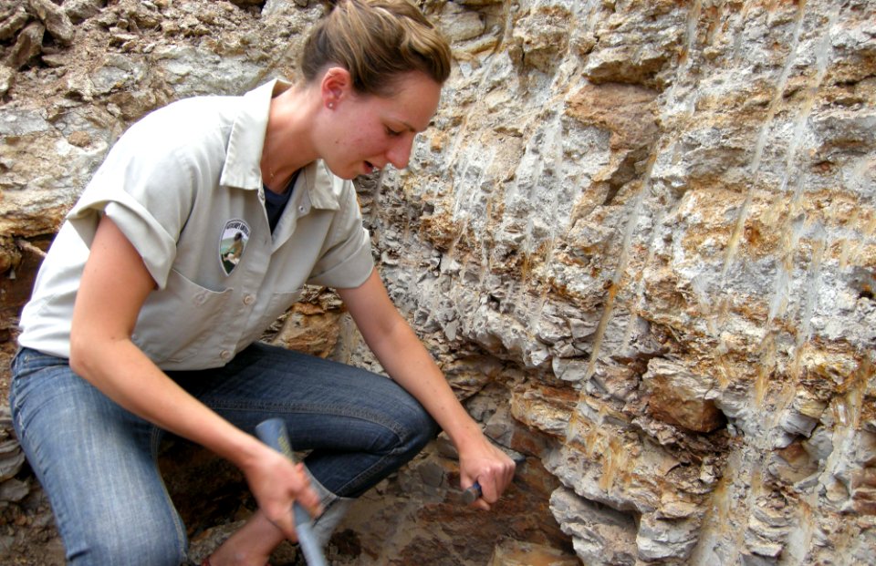Excavating small mammal