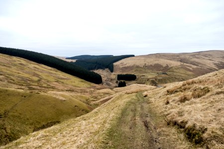 Descent into Cogshead