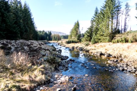 River Dee in Galloway Forest Park