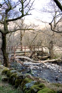Bridge over Glenhead Burn in Galloway Forest Park