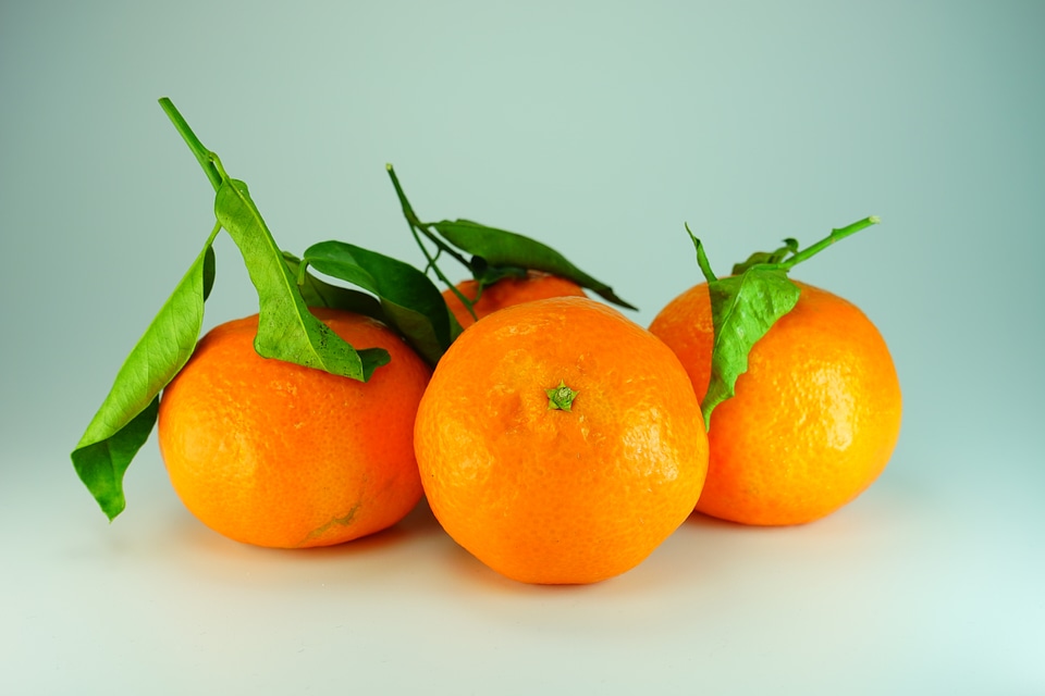 Citrus fruit orange fruits
