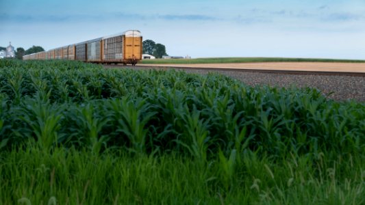 Train is leaving the picture