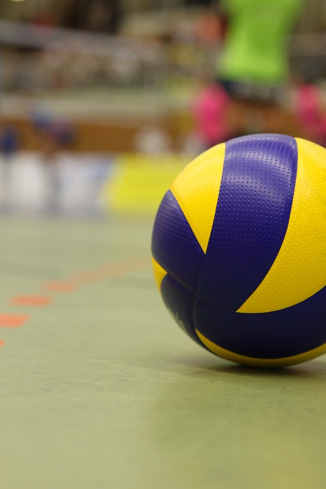 Volley ball sports team sport
