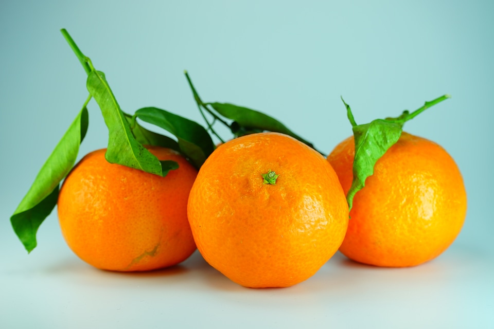 Citrus fruit orange fruits