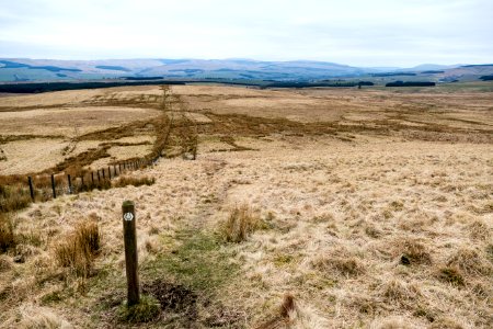 View towards Bogg from Coupland Knowe