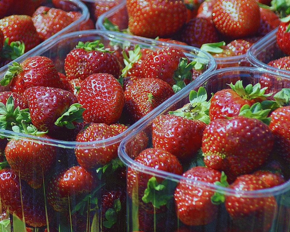 Dessert nature food