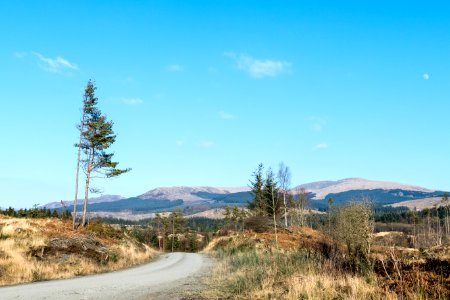 Entering Galloway Forest Park on Southern Upland Way near Bargrennan
