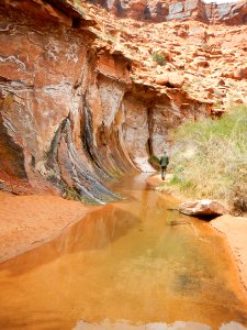 Wall Spring Salt Wash