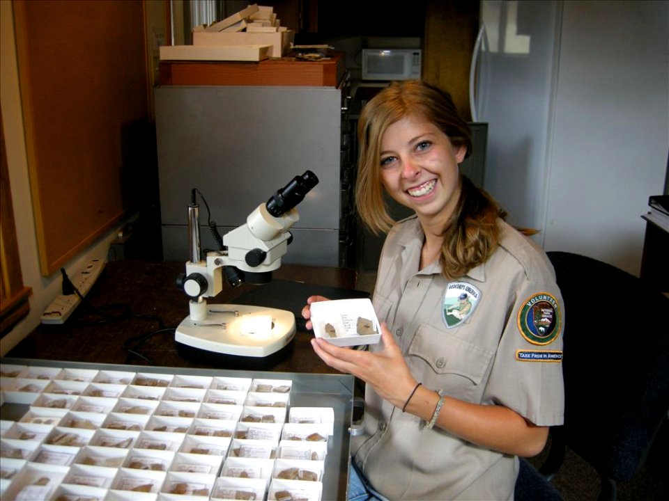 Organizing fossil collection