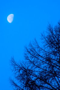 DSC 5287050116