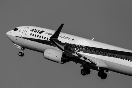 Boeing 737-881 JA52AN photo