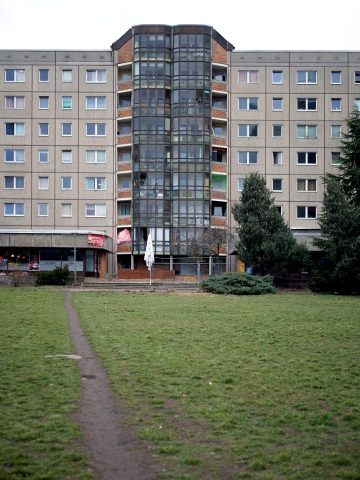 Der Pfad. / 06.03.2021