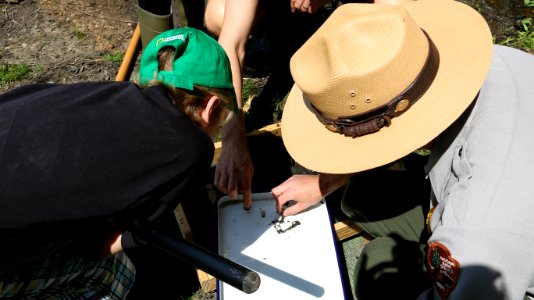 Observing Samples