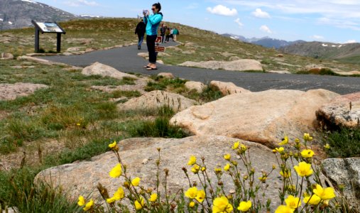 Rocky Mountain Tundra photo