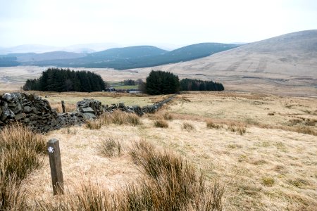 Overfingland Farm