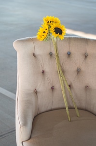 Arranged summer yellow