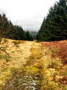 Path descending to Rivox