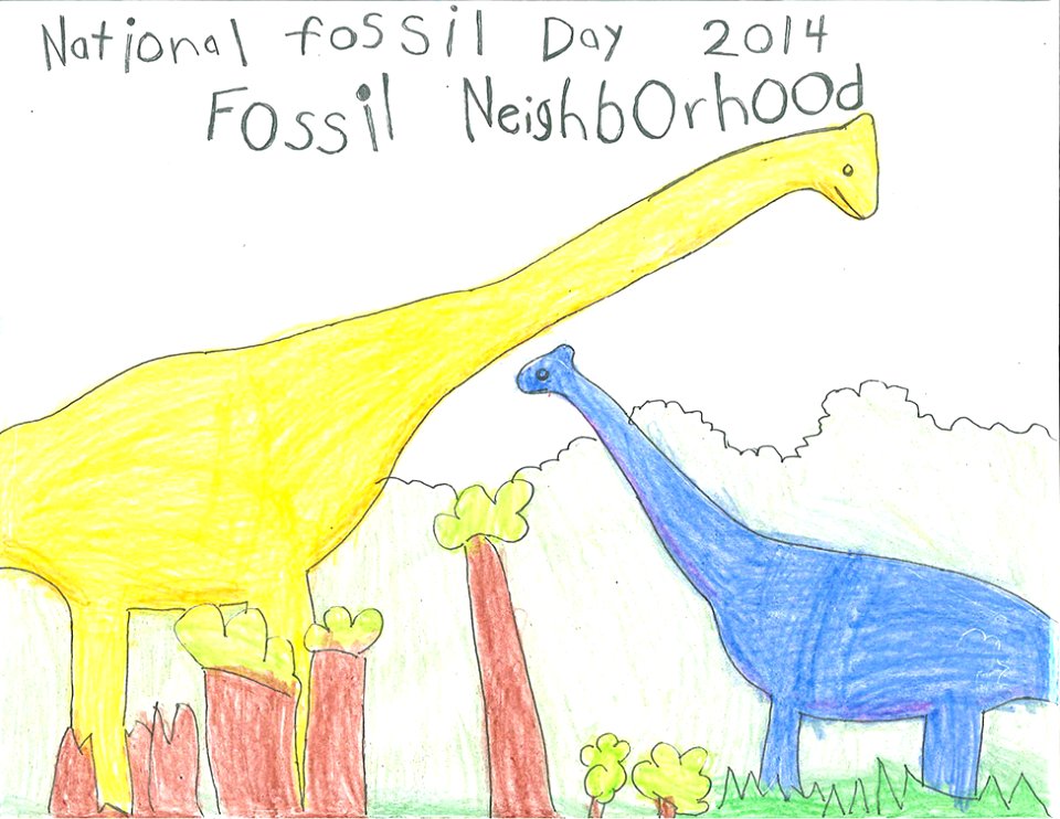 (2014) 5-8 Year Old Category