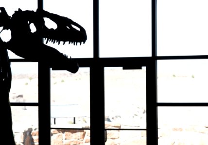 Cleveland-Lloyd Dinosaur Quarry