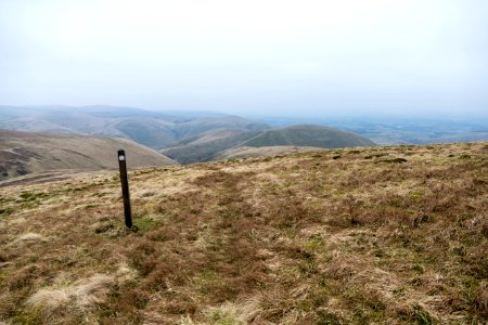 Cold Moss from Lowther Hill