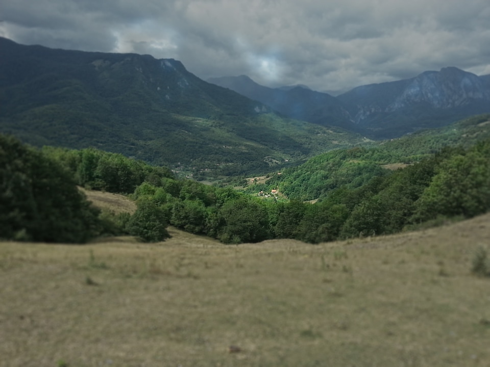 Landscape nature meadow