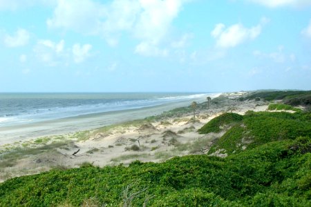 Cumberland Island National Seashore