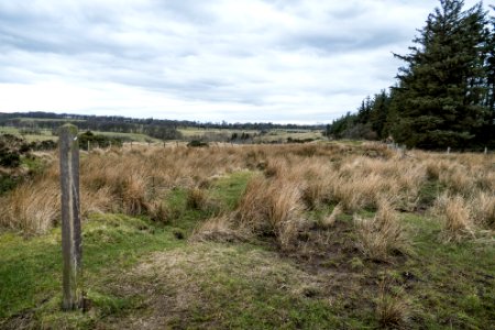 Path marker near Leithhead
