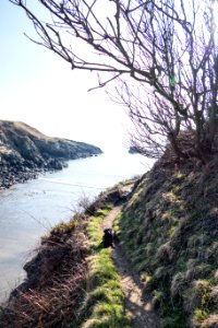 Cliff Path at Port Kale
