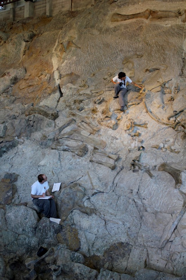 Photographing fossils